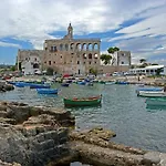 Bed and Breakfast La Rosa Dei Trulli