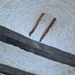 La Rosa Dei Trulli Αλμπερομπέλο