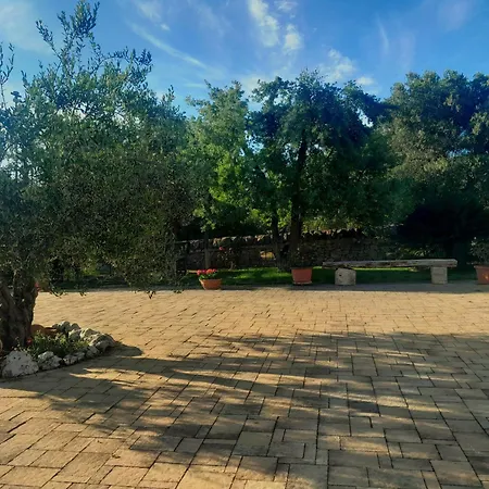 Panzió La Rosa Dei Trulli Alberobello