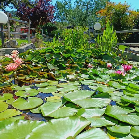 La Rosa Dei Trulli Alberobello