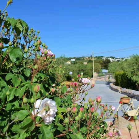 Bed & Breakfast La Rosa Dei Trulli 4*