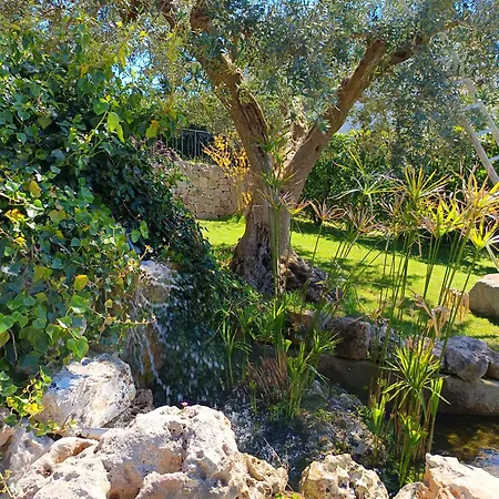 Bed and Breakfast La Rosa Dei Trulli