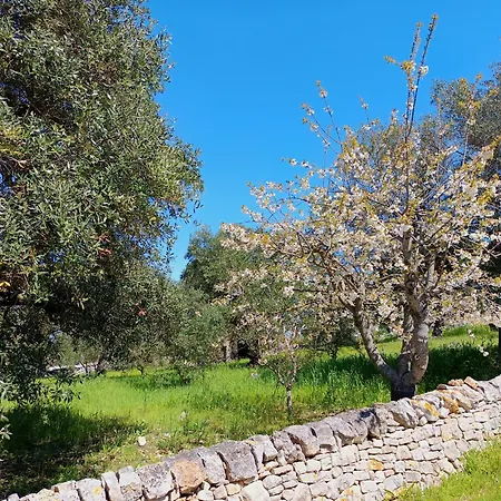 La Rosa Dei Trulli Bed and Breakfast