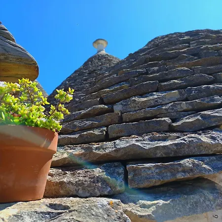 La Rosa Dei Trulli Bed and Breakfast Αλμπερομπέλο