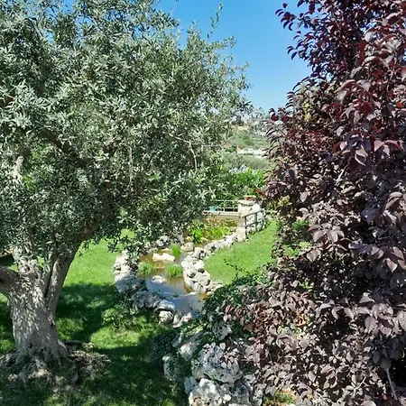 La Rosa Dei Trulli ألبيروبيللو