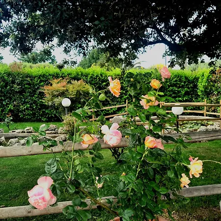 La Rosa Dei Trulli ألبيروبيللو