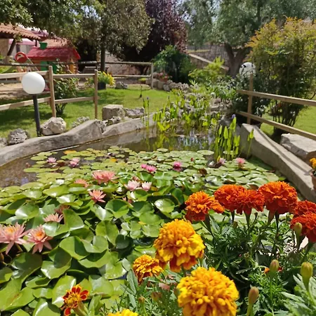 La Rosa Dei Trulli ألبيروبيللو