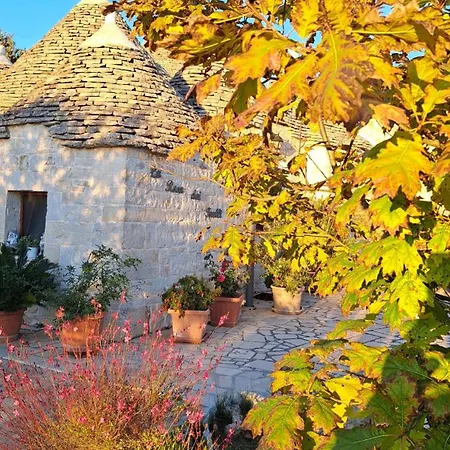 Bed & Breakfast La Rosa Dei Trulli 2*