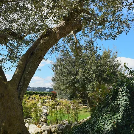 La Rosa Dei Trulli فندق مبيت وإفطار ألبيروبيللو