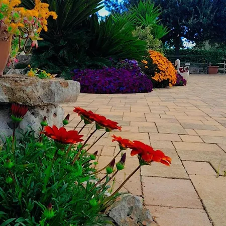 La Rosa Dei Trulli فندق مبيت وإفطار ألبيروبيللو