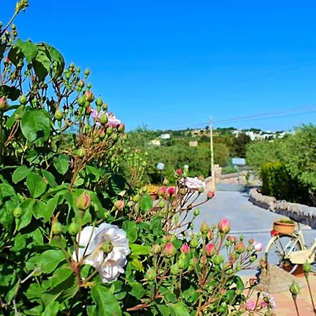 La Rosa Dei Trulli