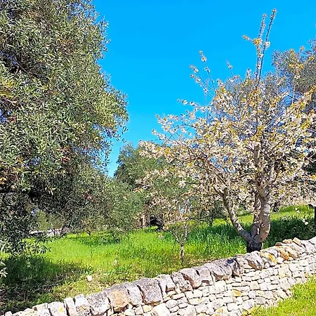 La Rosa Dei Trulli Alberobello