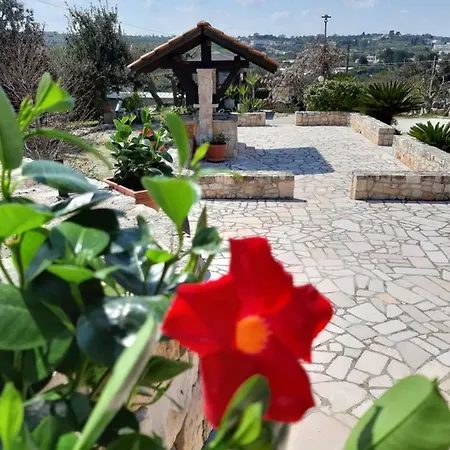 La Rosa Dei Trulli فندق مبيت وإفطار ألبيروبيللو