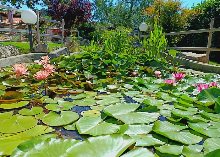 La Rosa Dei Trulli Alberobello